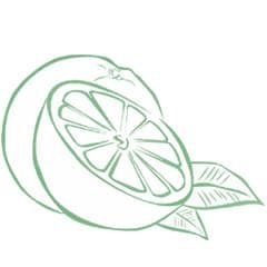 小橘子 小橘子